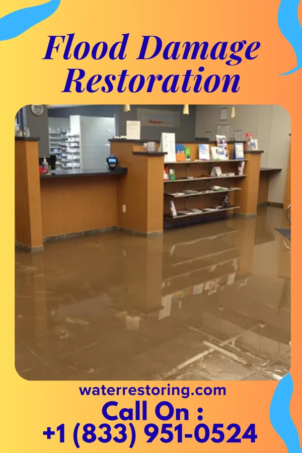Flood Damage Restoration in Dover, IL