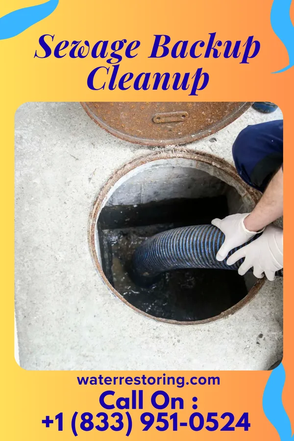 Sewage Backup Cleanup in Dover, IL